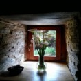 /album/fotogaleria-fotogaleria/ventana-71-jpg/